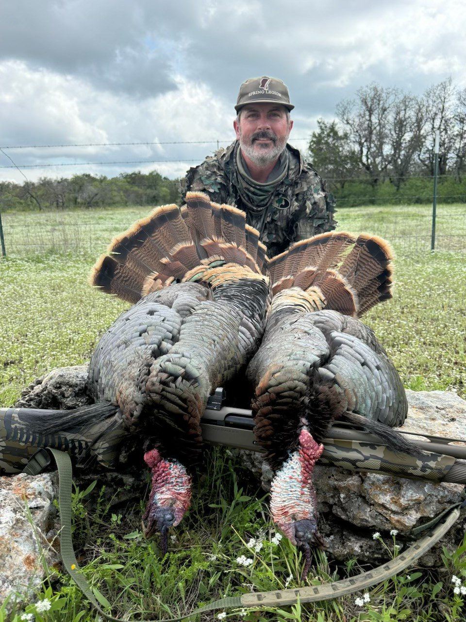 Two Rio Grande turkeys